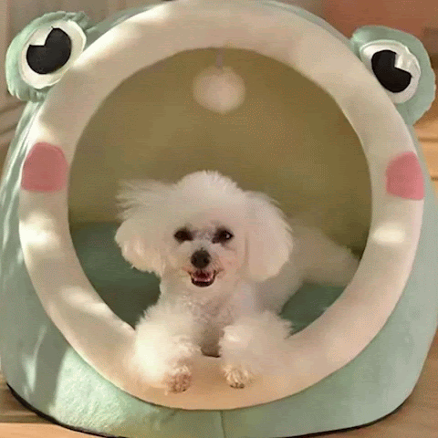 Pourquoi choisir un Coussin chien 624 pour votre compagnon ?Votre chien mérite ce qu'il y a de mieux, et notre gamme de coussin chien 624 répond exactement à ce besoin. Ces coussins sont bien plus qu'un simple lieu de repos - ils représentent un véritable investissement dans la santé et le bonheur de votre animal.