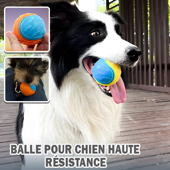 Balle couinante interactive