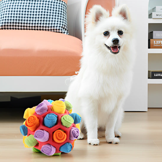 Balle de fouille chien chien pour simpa chien