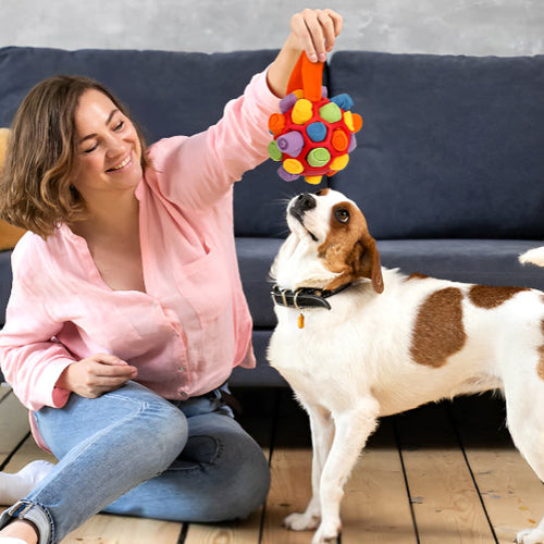 Balle de fouille chien chien pour simpa chien