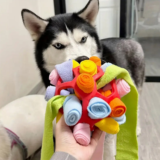 Balle de fouille chien chien pour simpa chien